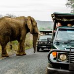 clients on safari hluhluwe-imfolozi park