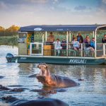 1 night safari package