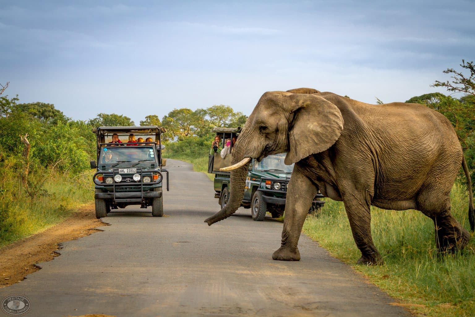 4 night hluhluwe imfolozi park safari