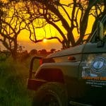 sunset or night drive safari isimangaliso wetland park