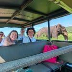 full day isimangaliso wetland park safari tour on a 3 night package