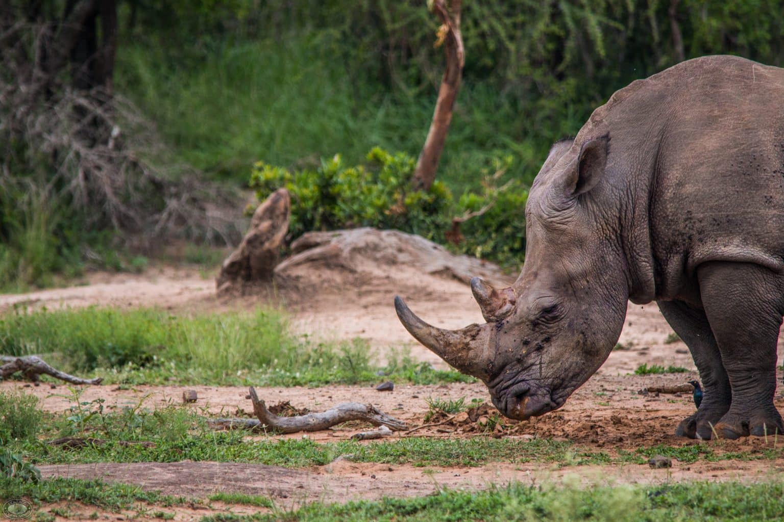 STAY AND SAFARI WITH HERITAGE TOURS