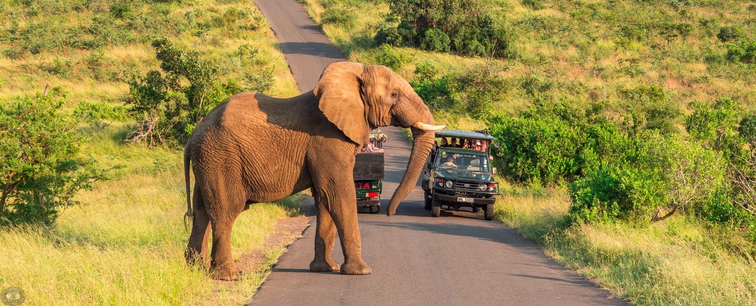 stay and safari with at heritage house st lucia