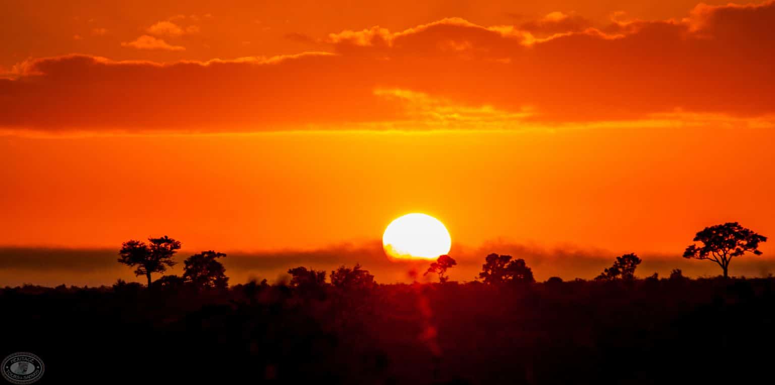 Night Drive Safari (iSimangaliso)