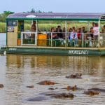 st lucia hippo boat tours kzn