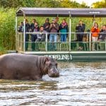 48 Hours in St Lucia KwaZulu-Natal